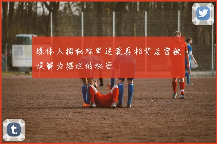 媒体人揭秘绿军逆袭真相背后曾被误解为摆烂的秘密