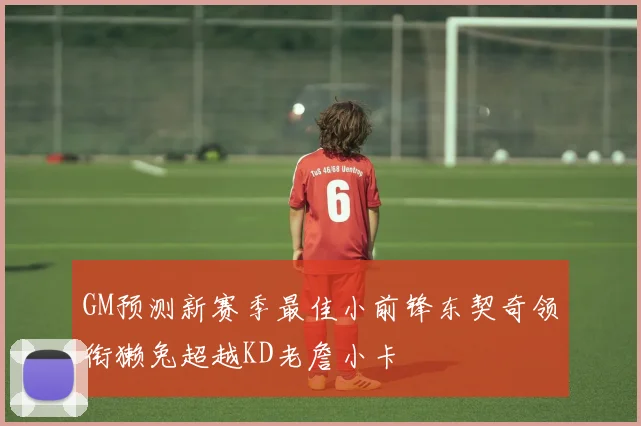 GM预测新赛季最佳小前锋东契奇领衔獭兔超越KD老詹小卡