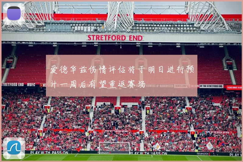 爱德华兹伤情评估将于明日进行预计一周后有望重返赛场