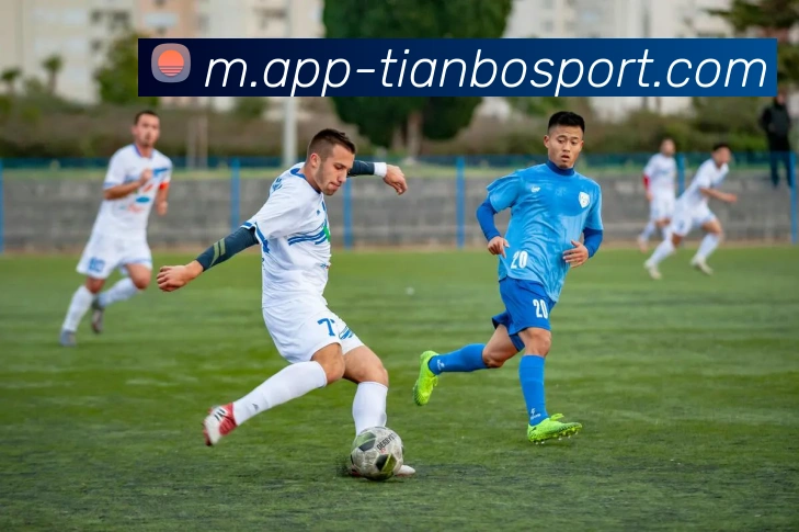 App Interface Preview